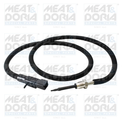Sensor, exhaust gas temperature